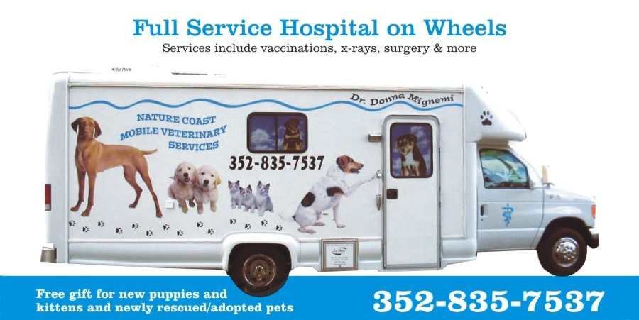 Dr. Donna Mignemi, Veterinarian, Spring Hill Florida